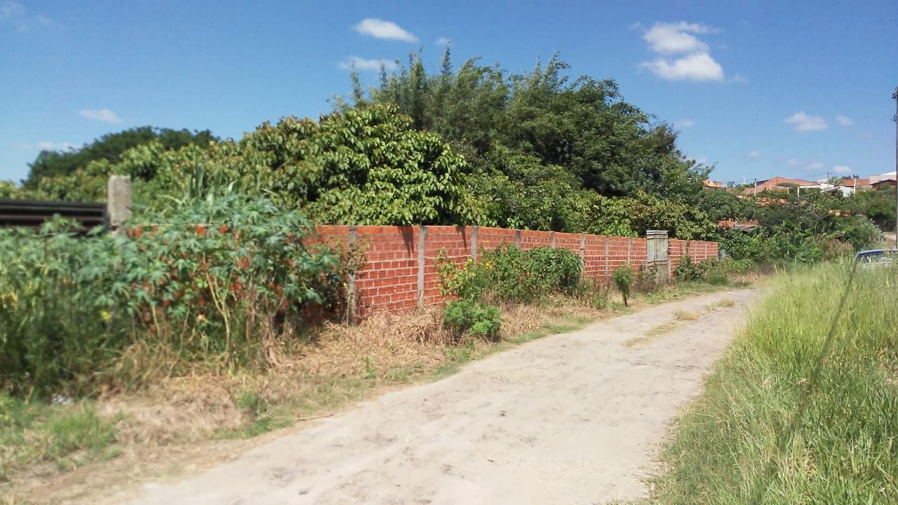 FOTO_5 - 5