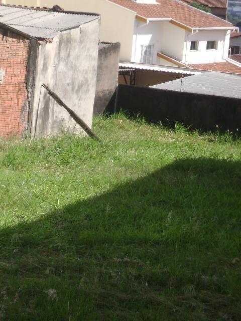FOTO_16 - 16