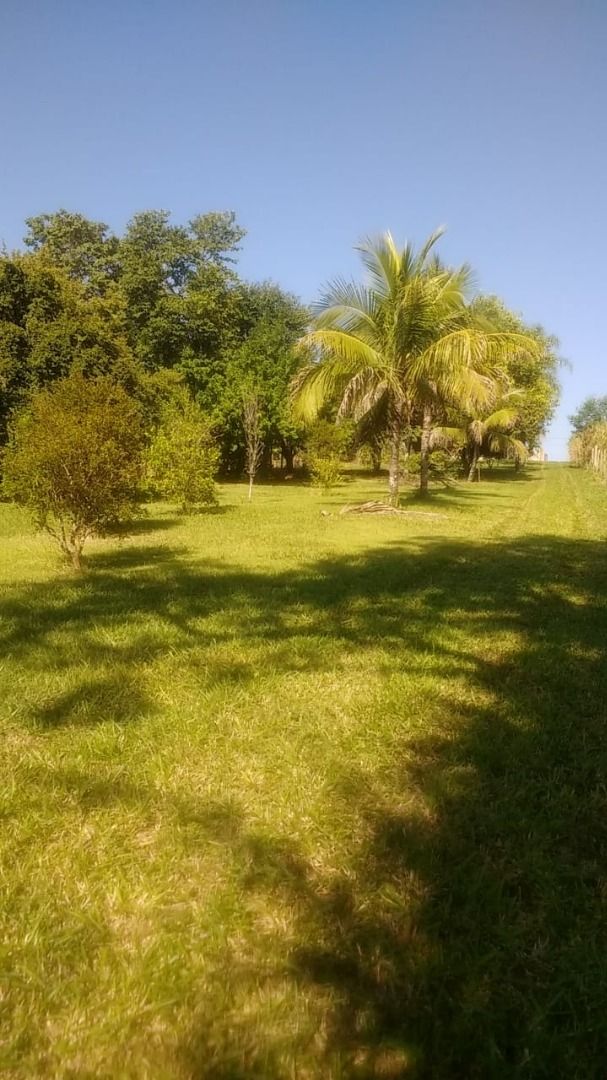 FOTO_3 - 3