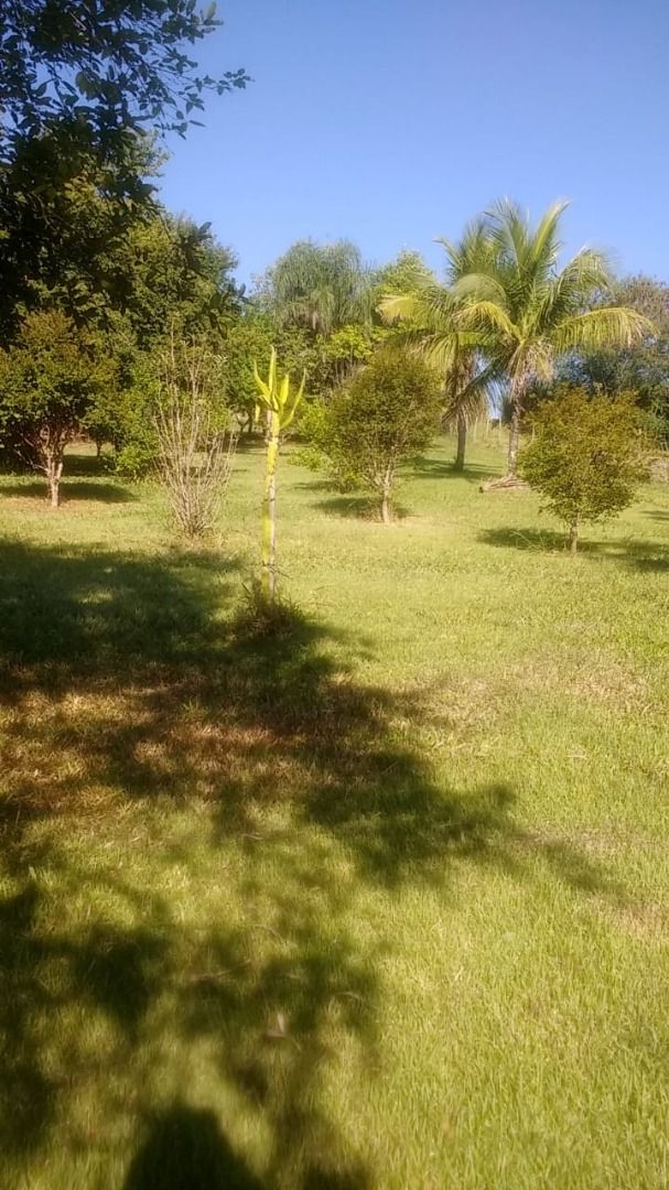 FOTO_4 - 4