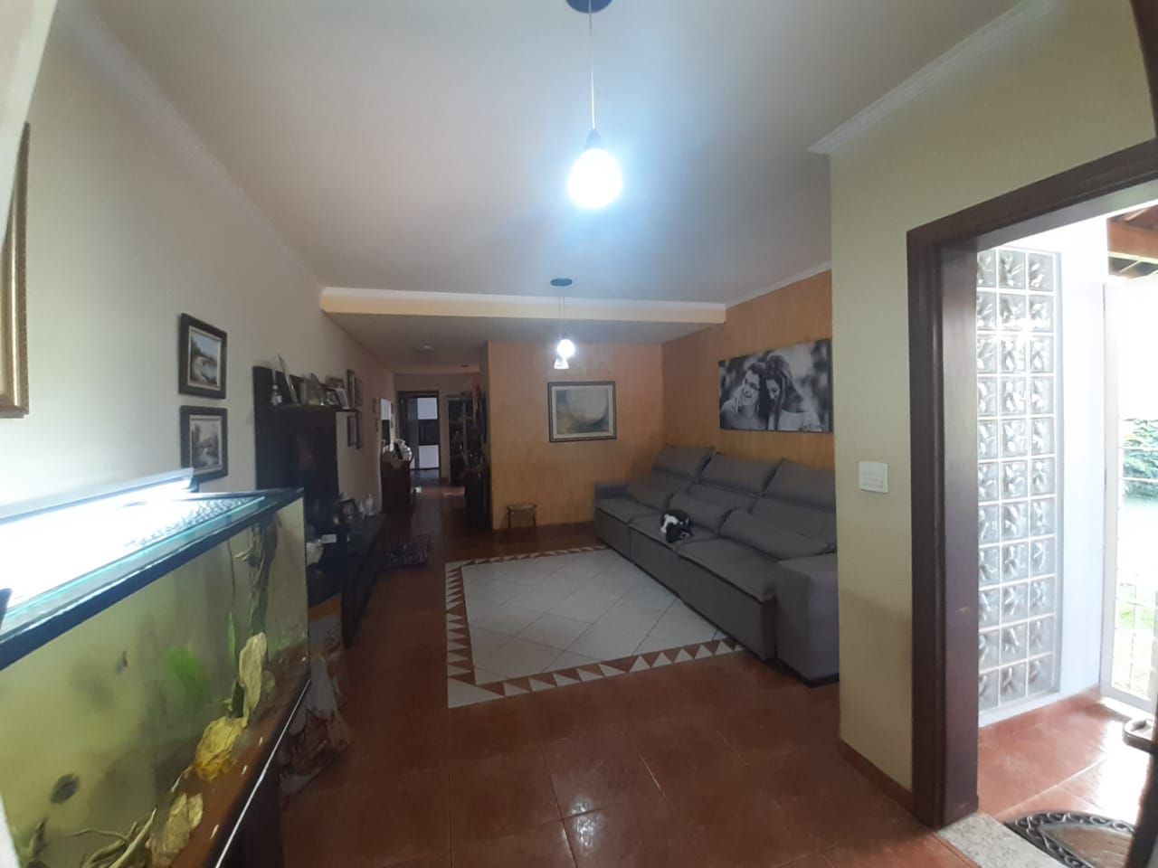 FOTO_9 - 9