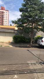 FOTO_1 - 1