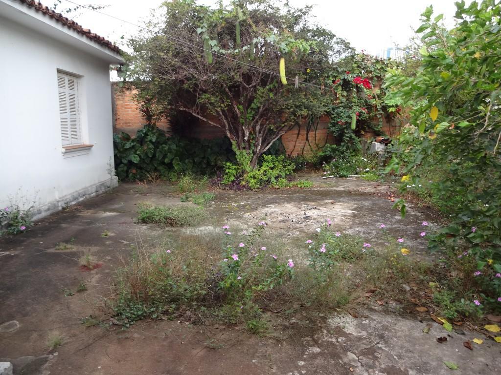 FOTO_12 - 12