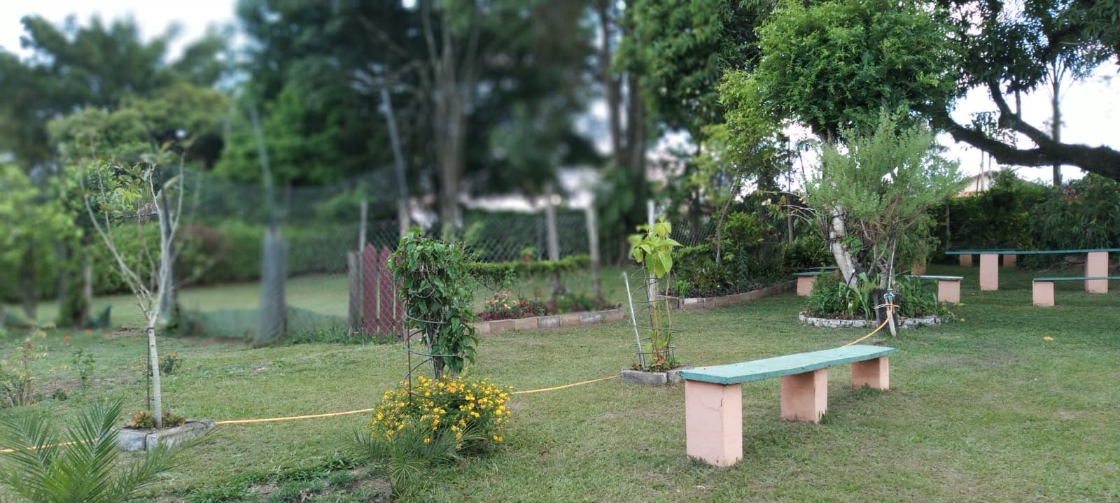 FOTO_11 - 11