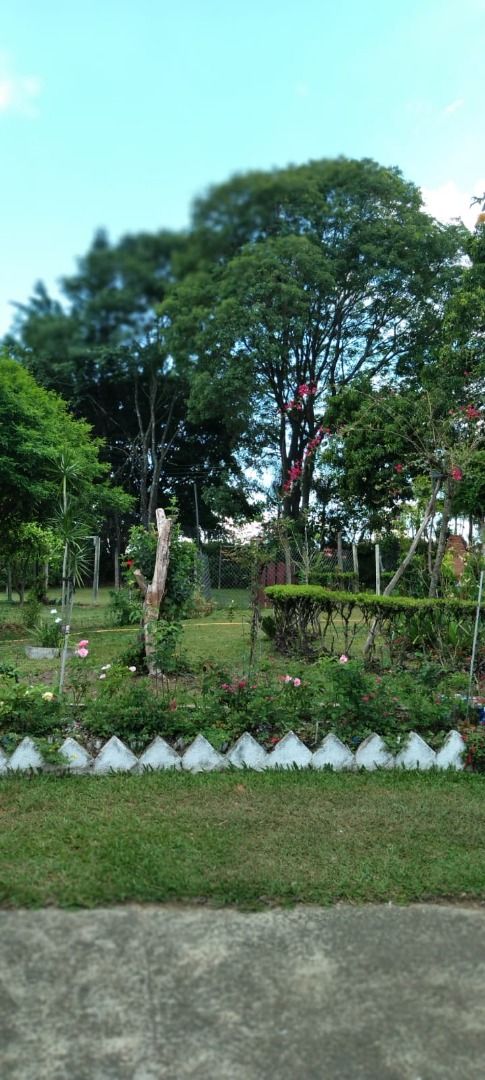 FOTO_12 - 12