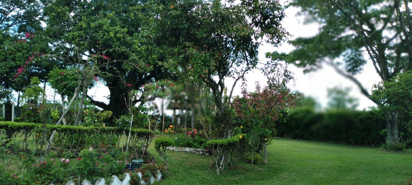 FOTO_13 - 13