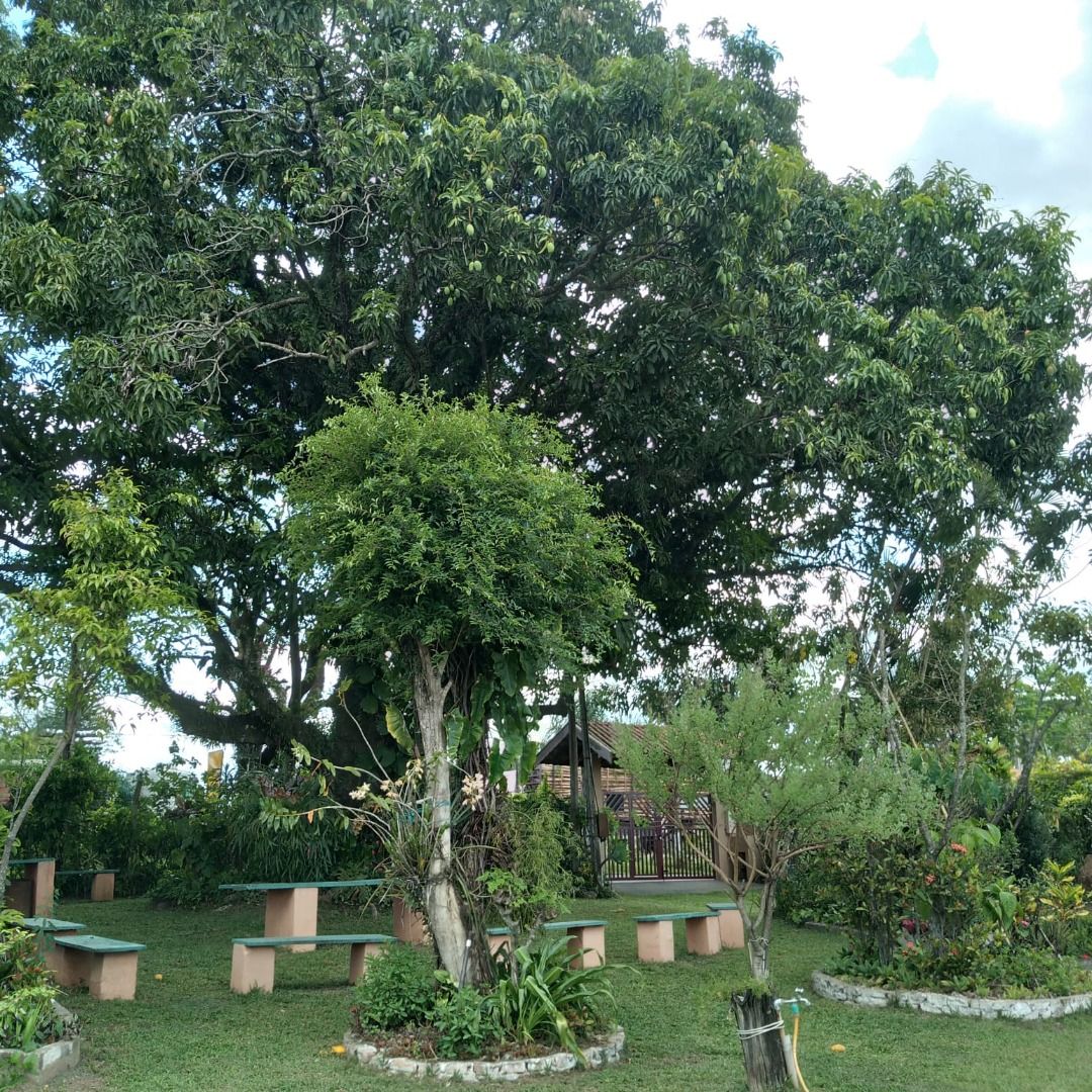 FOTO_15 - 15