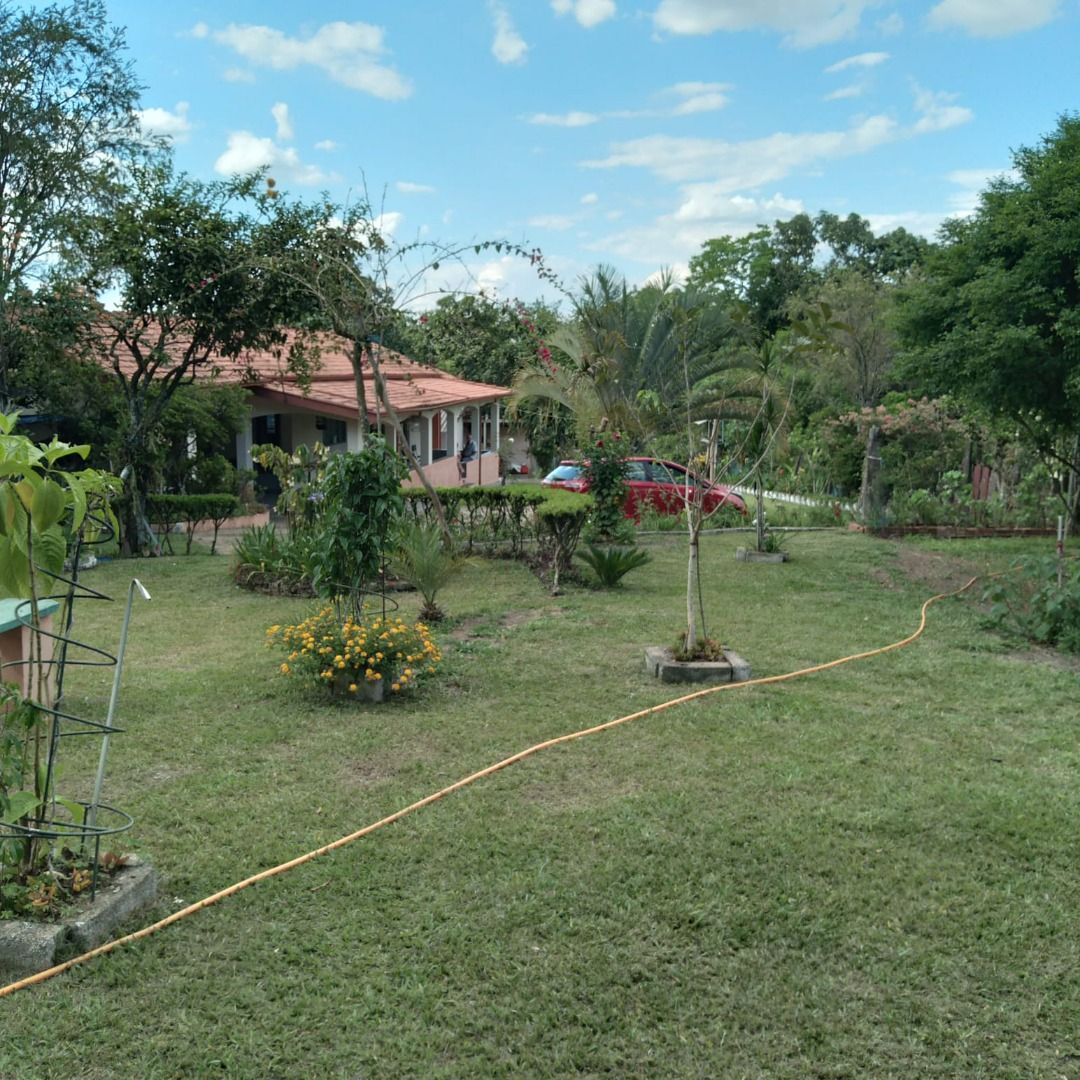 FOTO_8 - 8