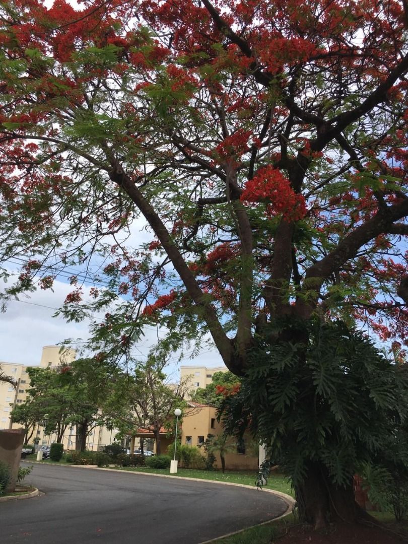 FOTO_6 - 6