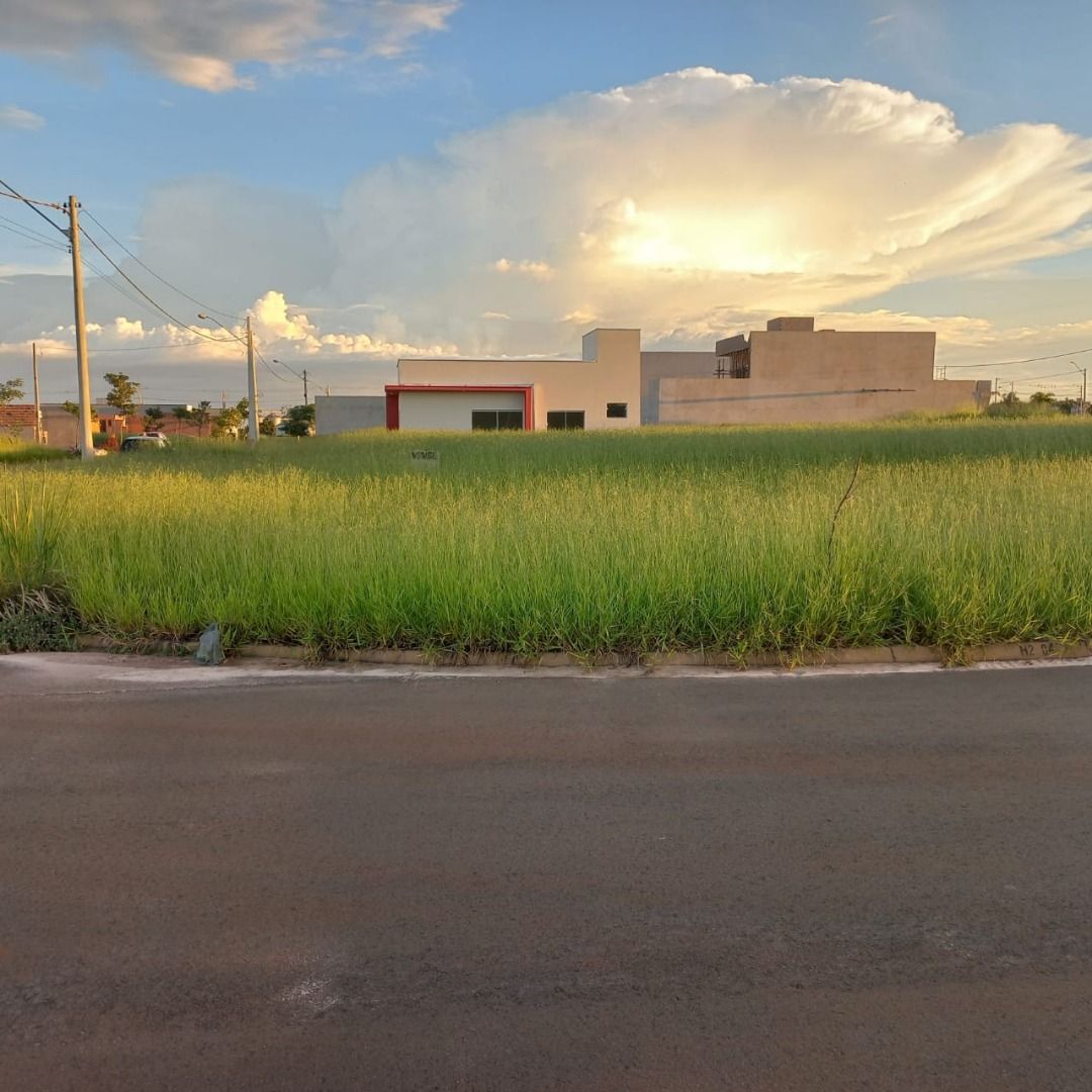 FOTO_1 - 1