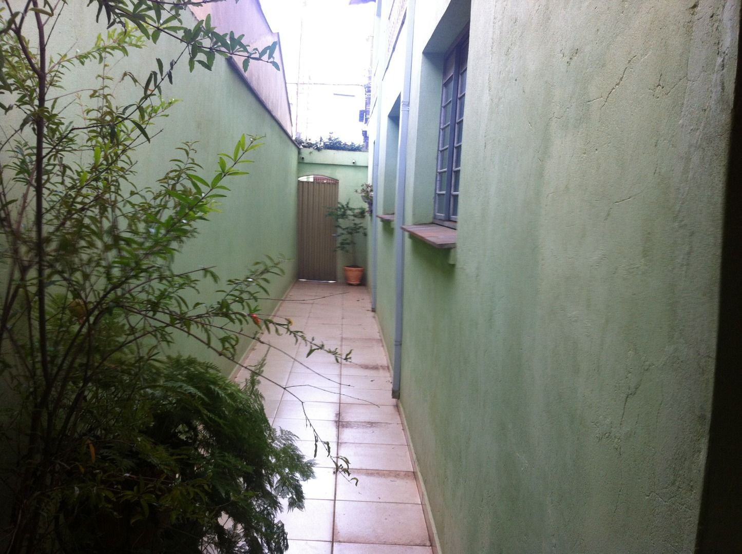 FOTO_11 - 11