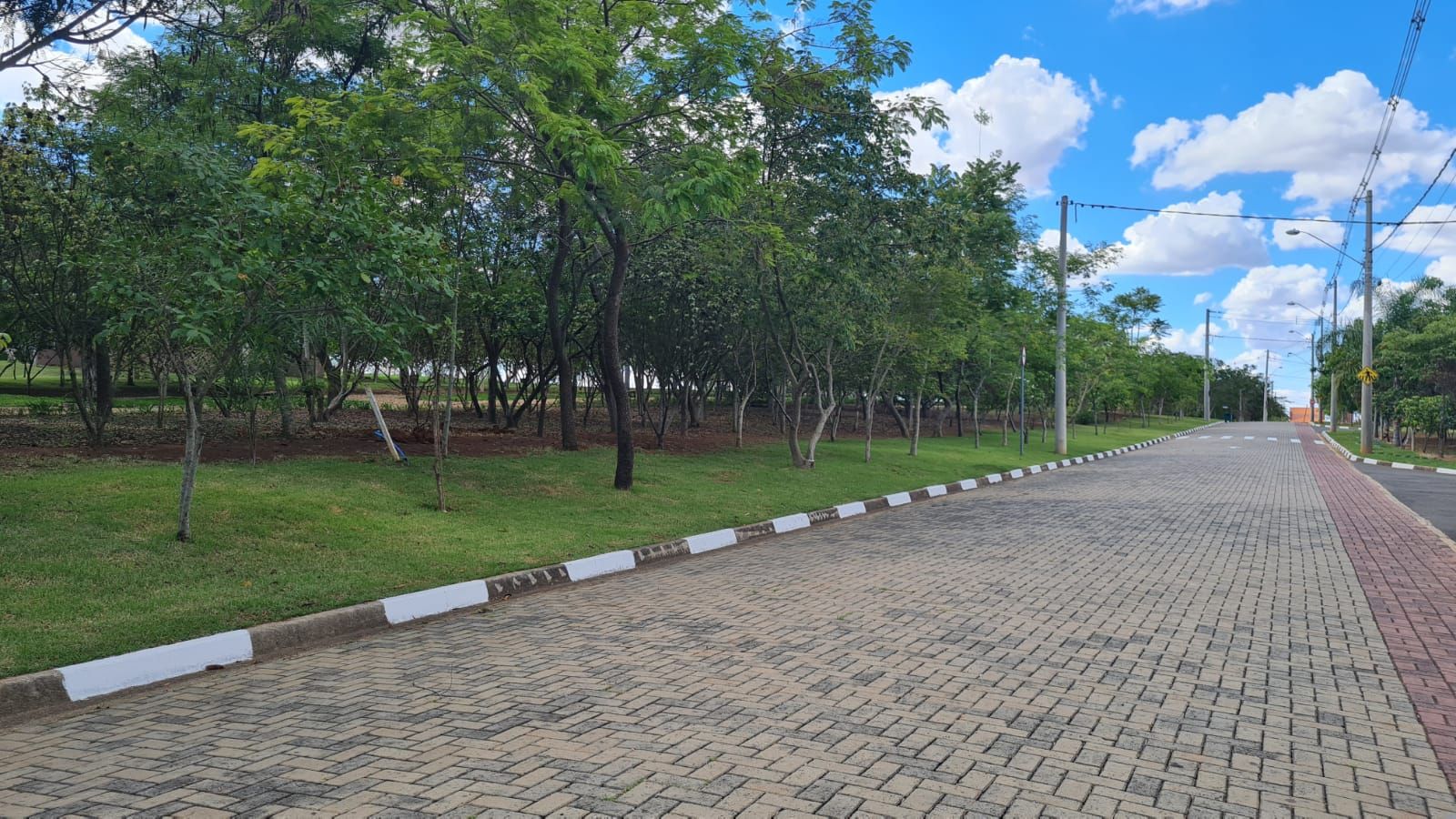 FOTO_10 - 10