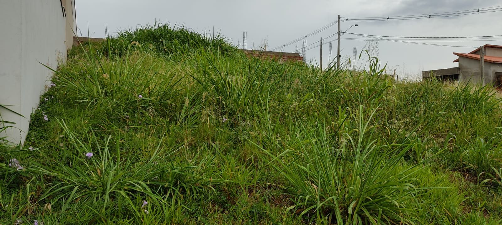 FOTO_2 - 2