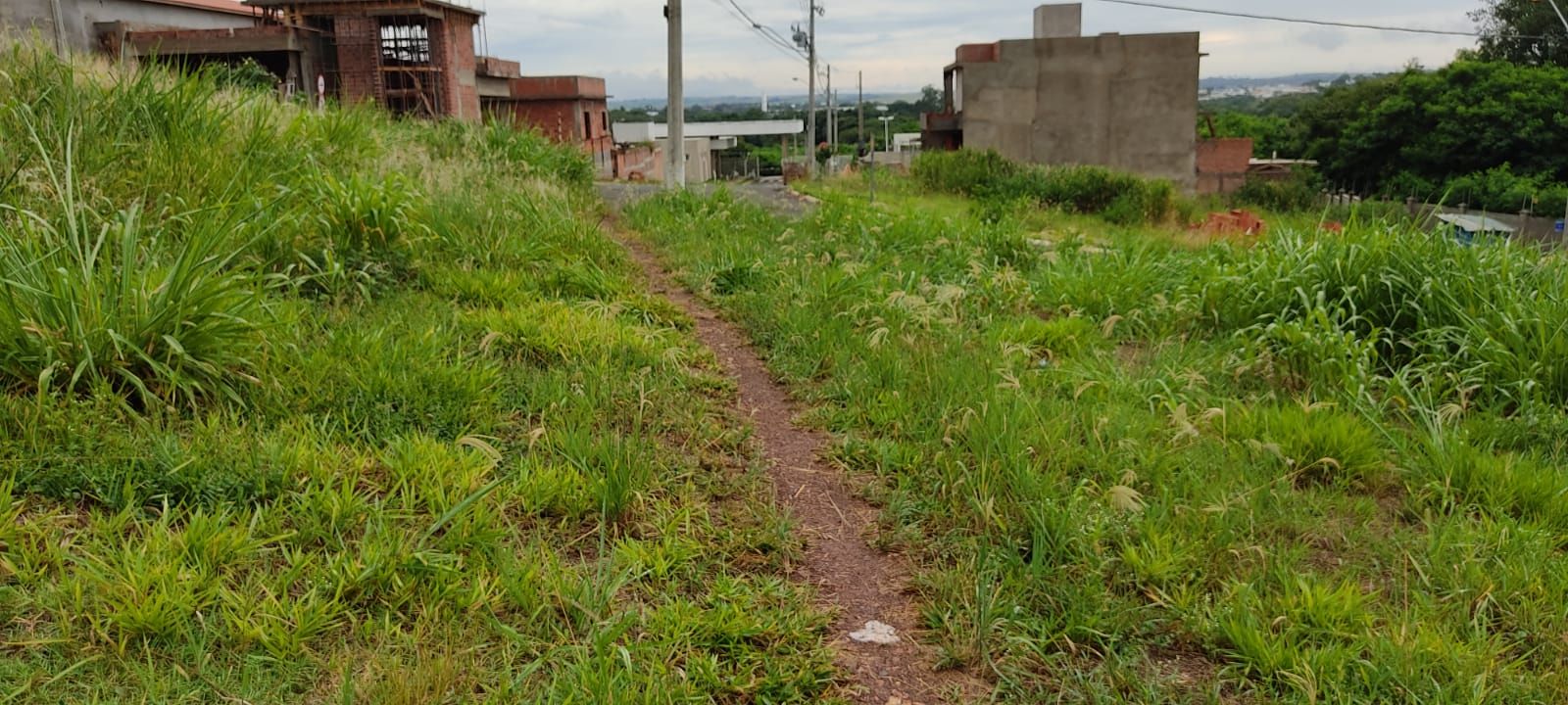 FOTO_3 - 3