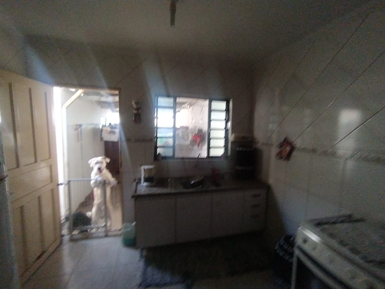 FOTO_7 - 7
