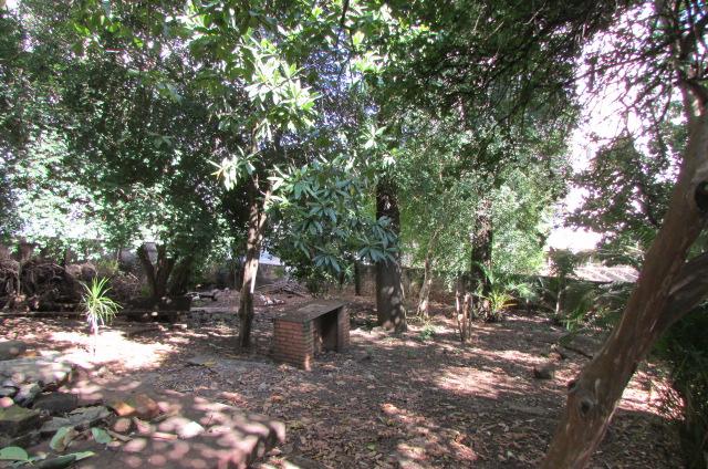 FOTO_13 - 13