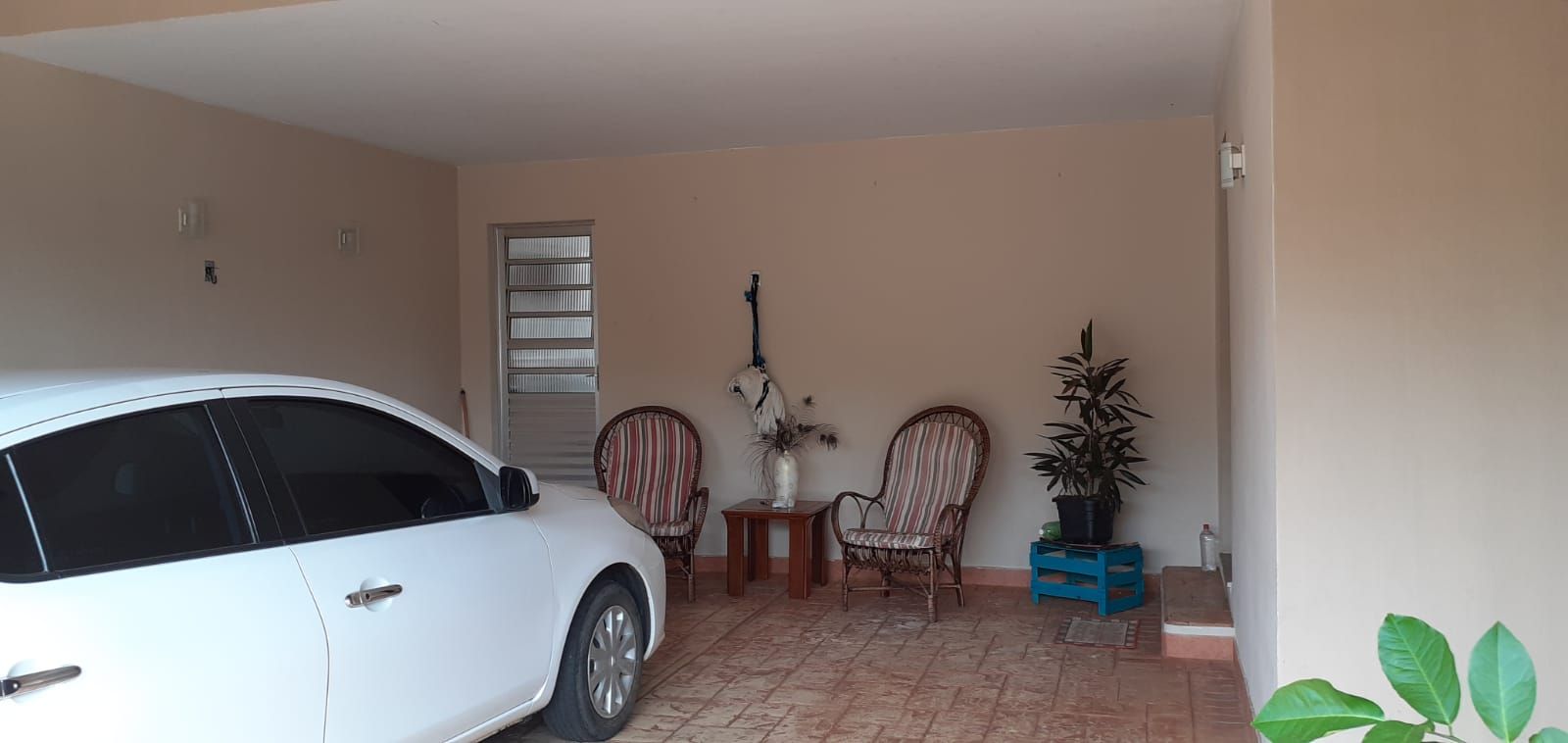 FOTO_1 - 1