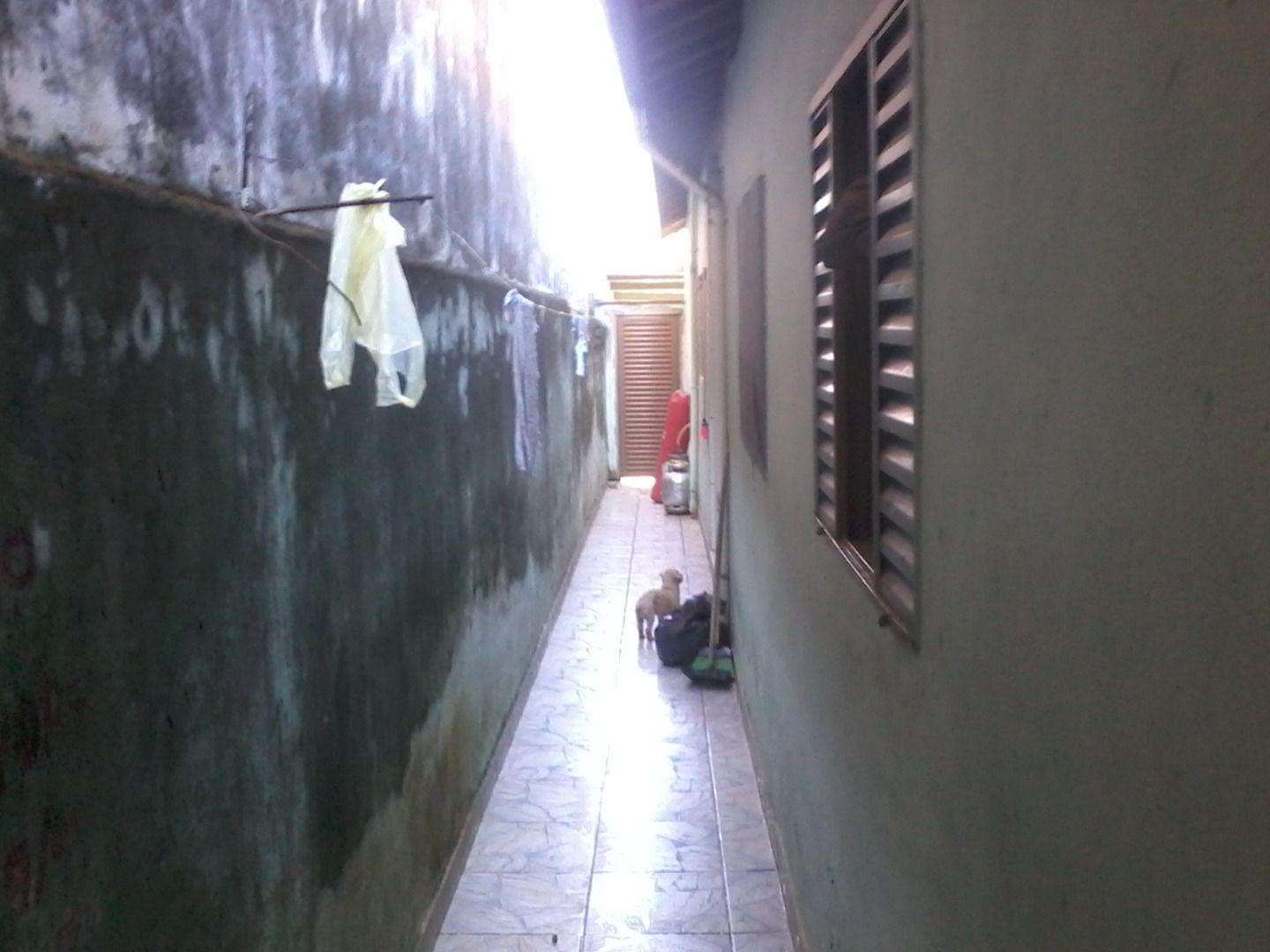 FOTO_12 - 12