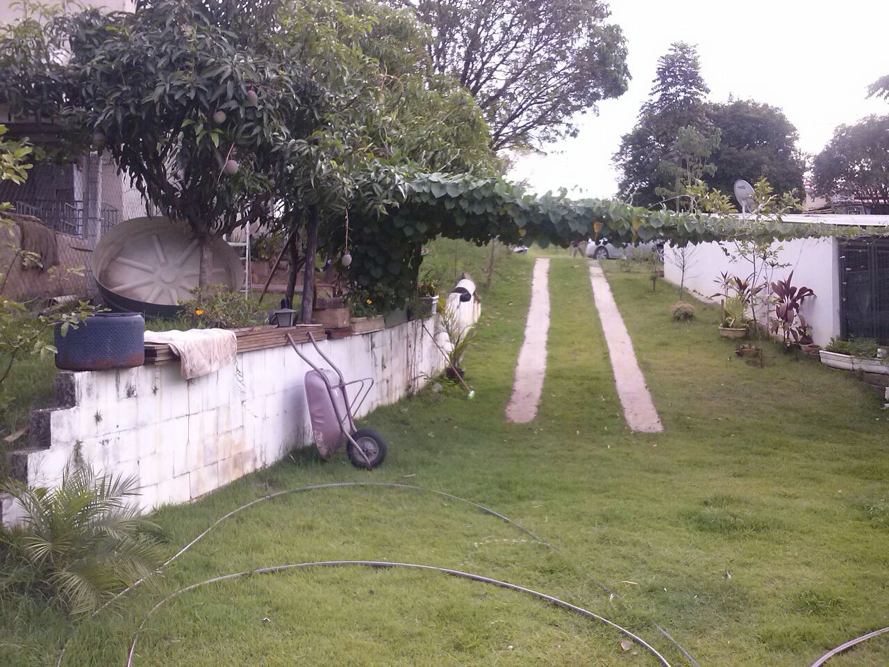 FOTO_12 - 12