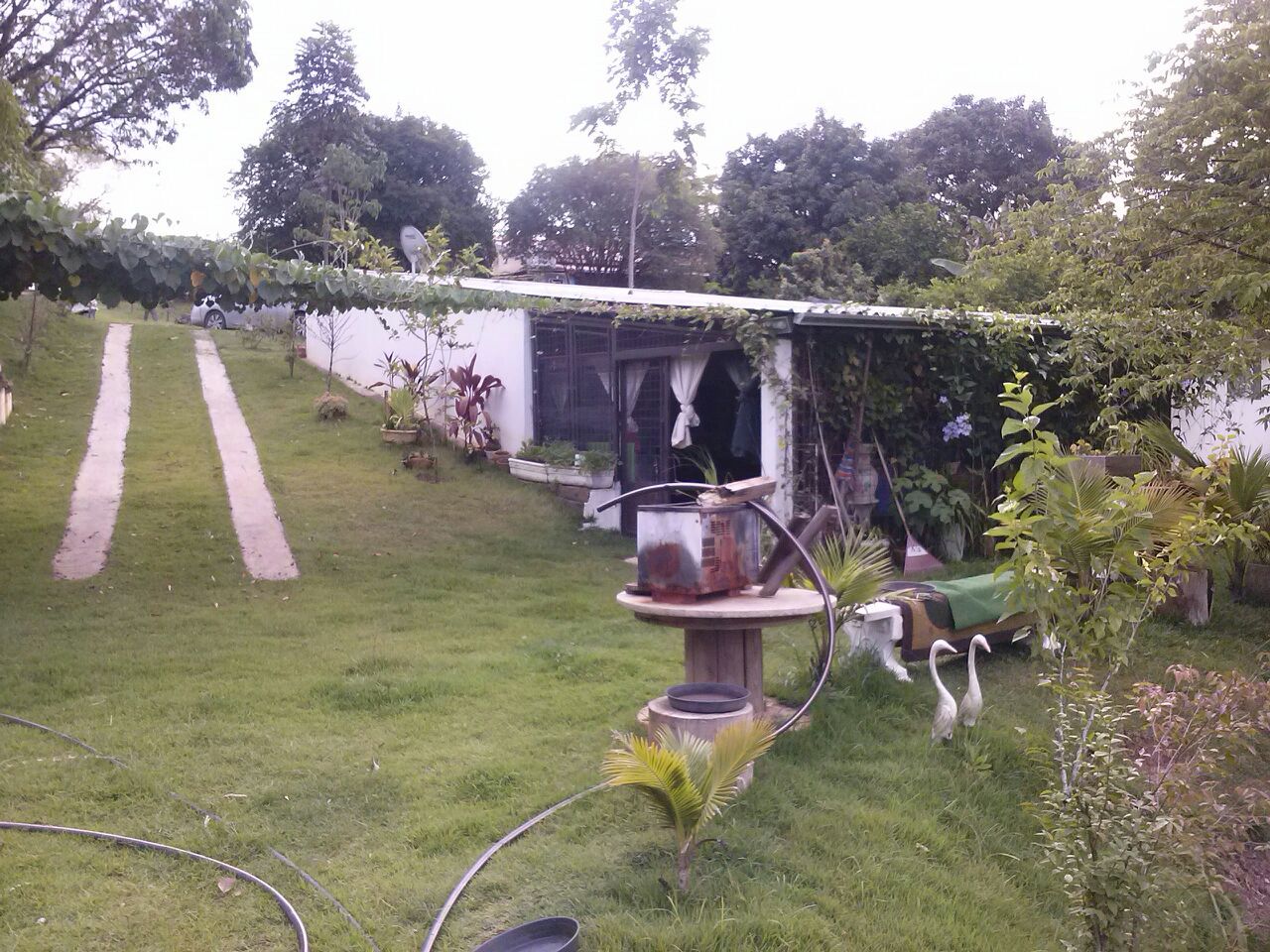 FOTO_21 - 21