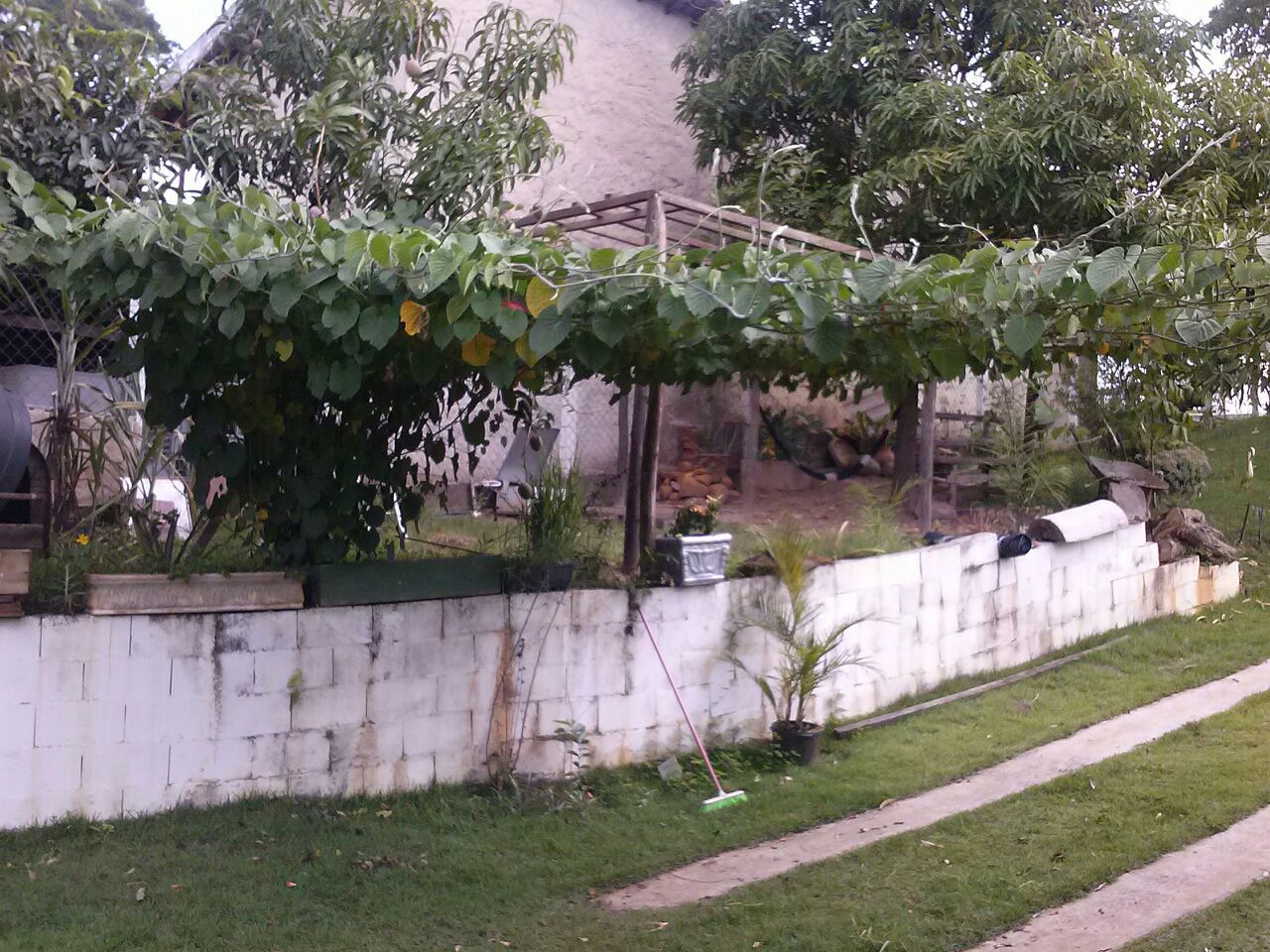 FOTO_6 - 6