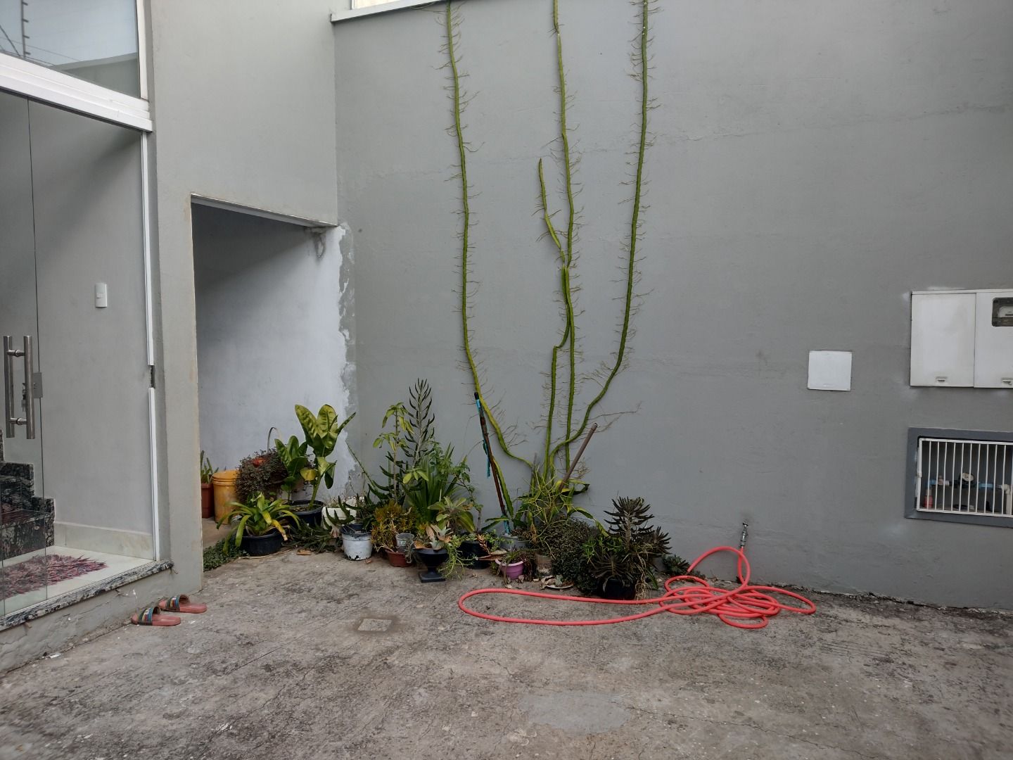 FOTO_3 - 3