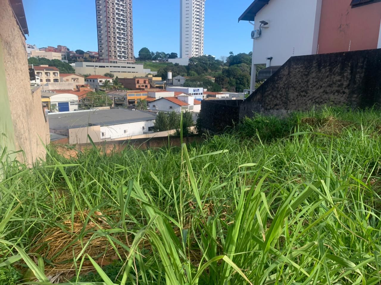 FOTO_1 - 1