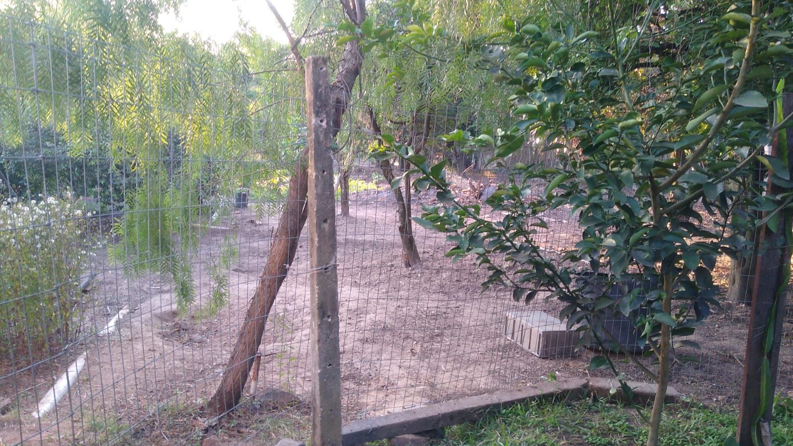 FOTO_12 - 12