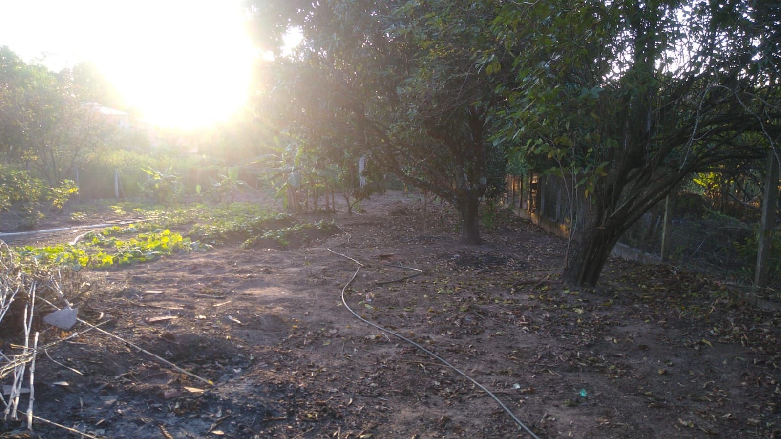 FOTO_2 - 2