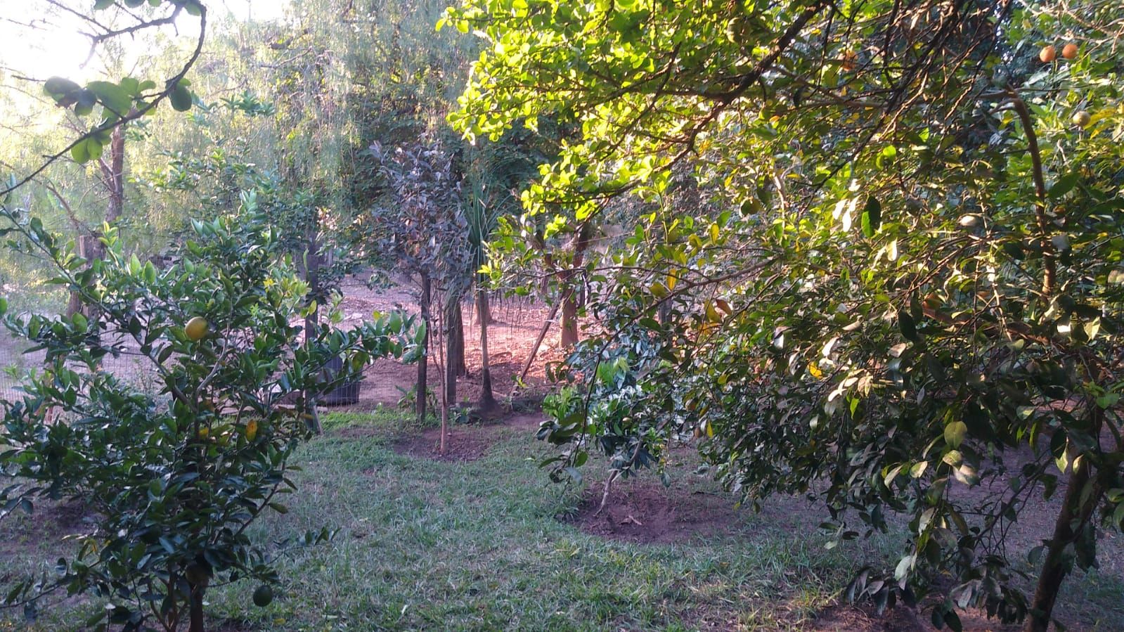 FOTO_8 - 8