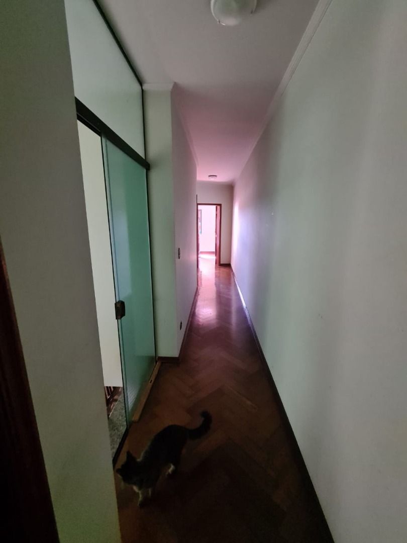 FOTO_11 - 11