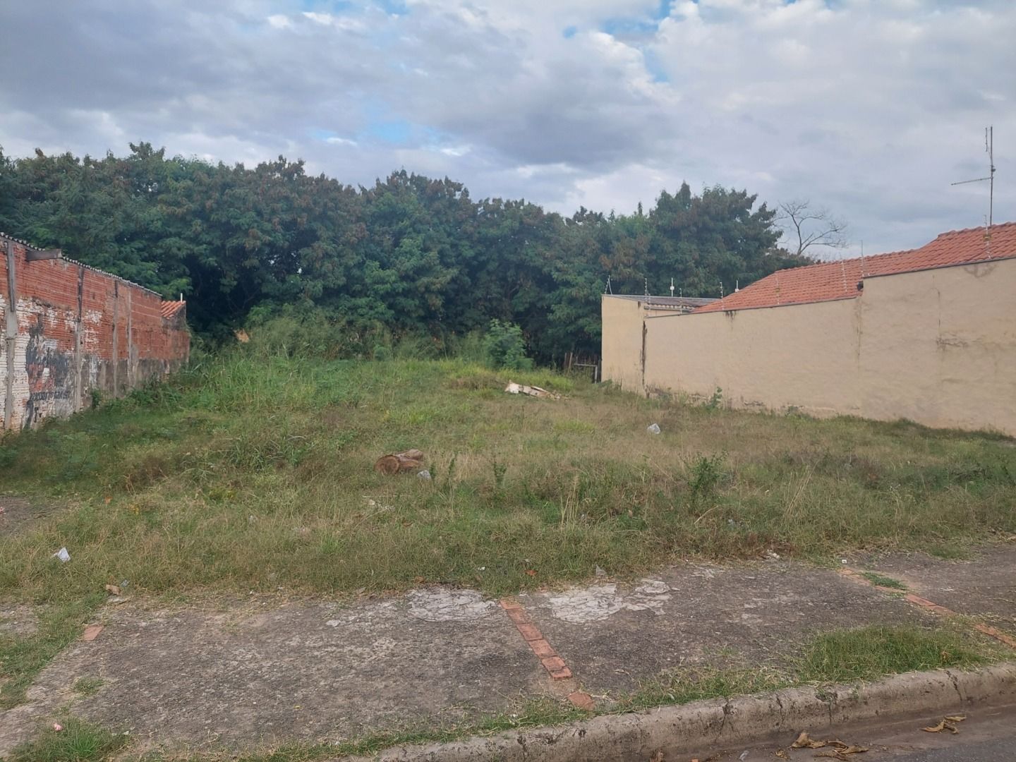FOTO_2 - 2