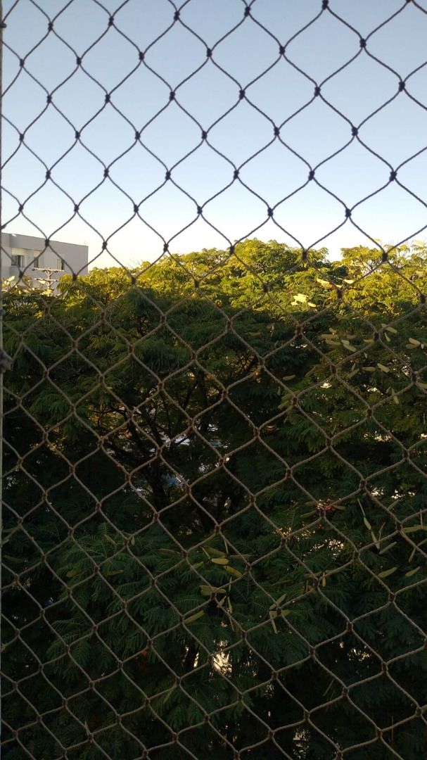 FOTO_5 - 5