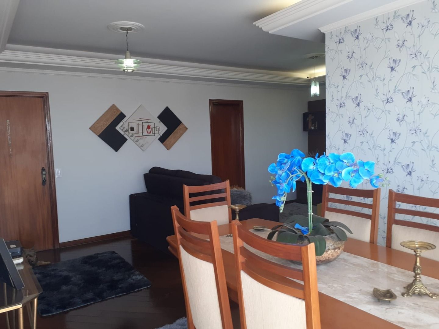 FOTO_5 - 5