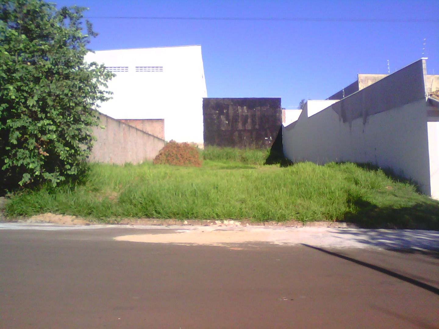 FOTO_1 - 1