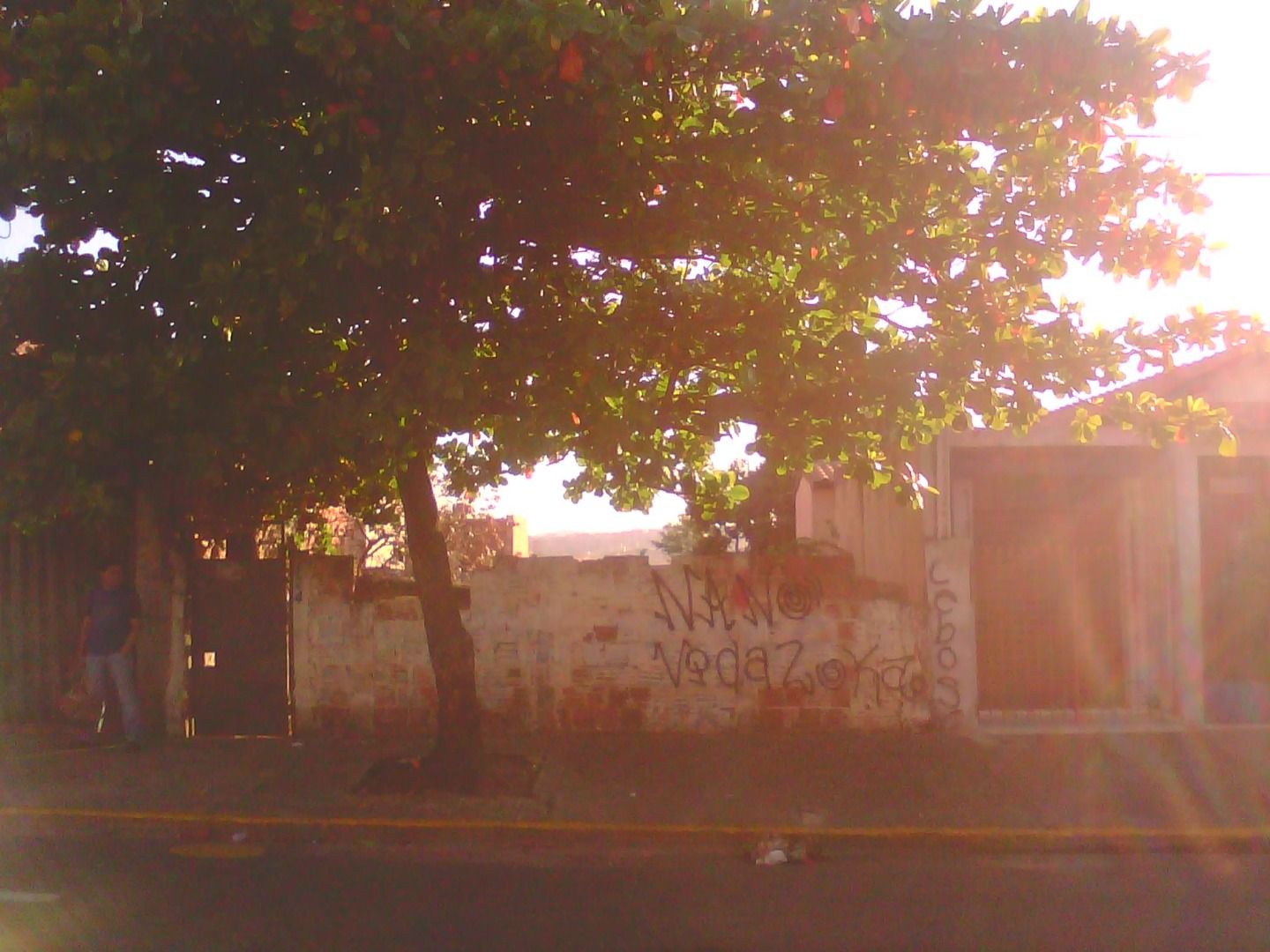 FOTO_1 - 1
