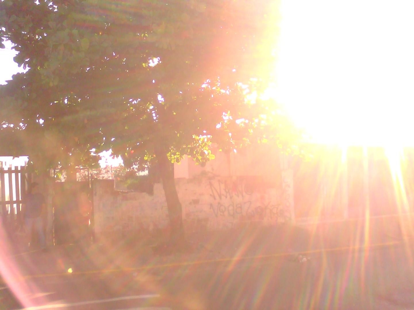 FOTO_4 - 4