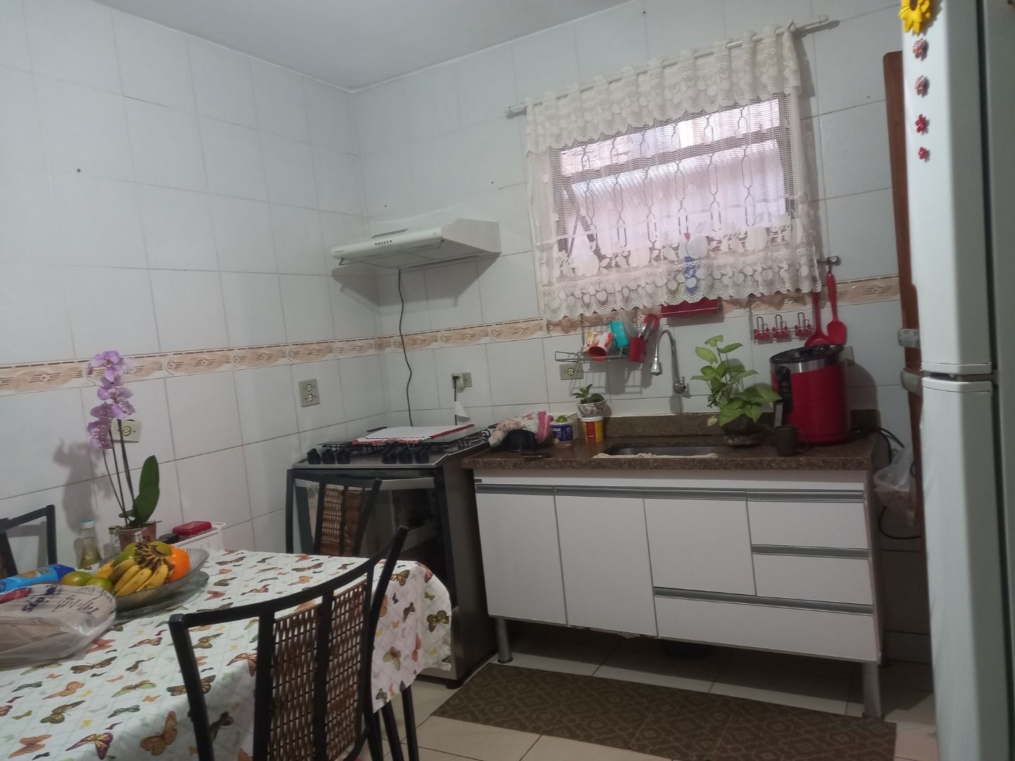 FOTO_15 - 15
