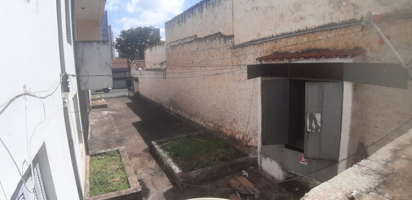 FOTO_12 - 12