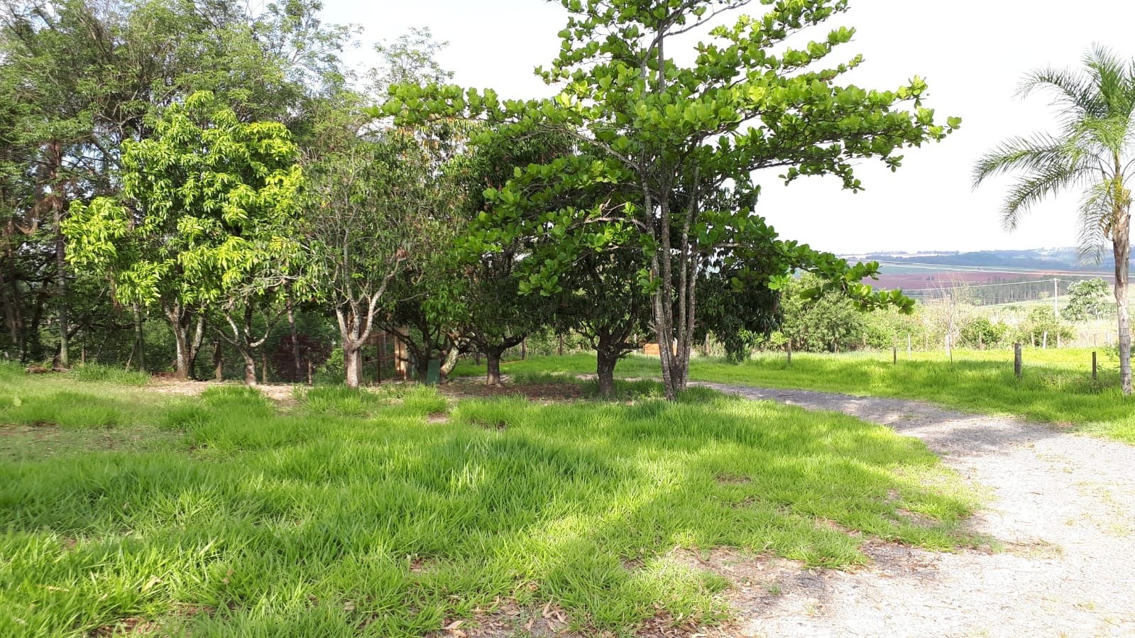 FOTO_4 - 4