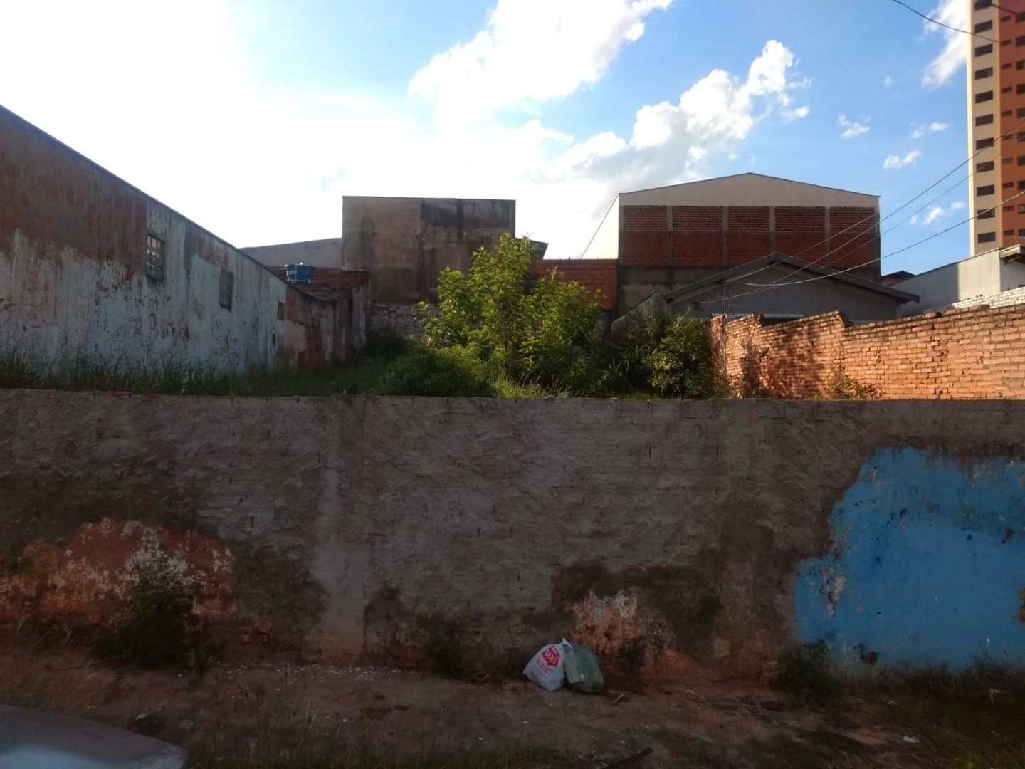 FOTO_1 - 1