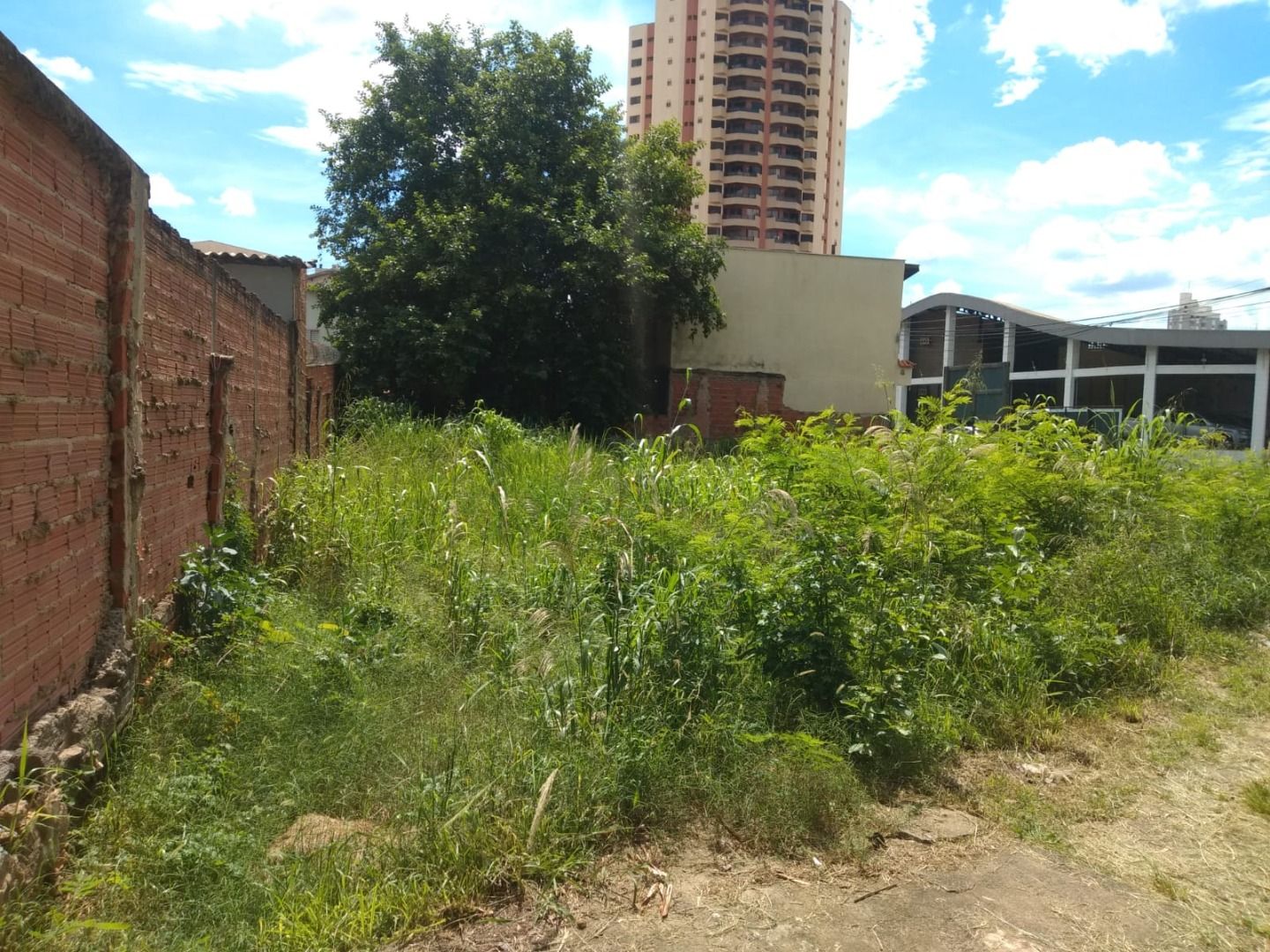 FOTO_2 - 2