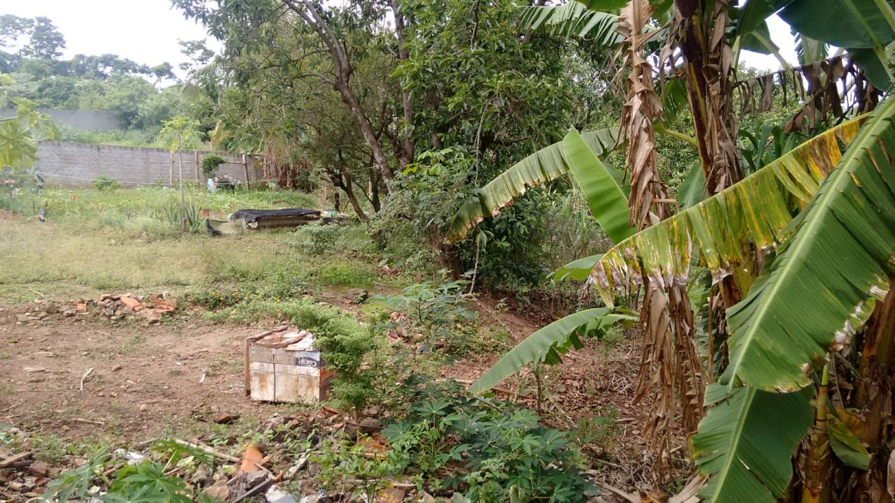 FOTO_11 - 11