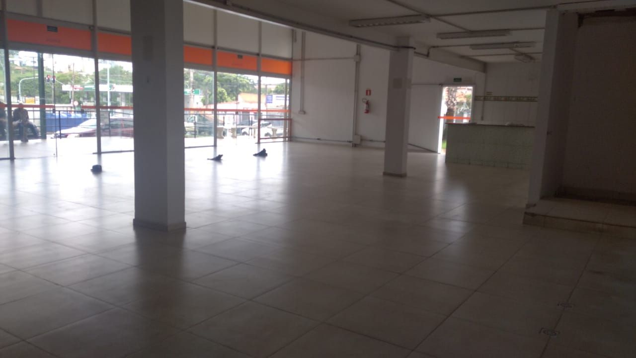 FOTO_6 - 6