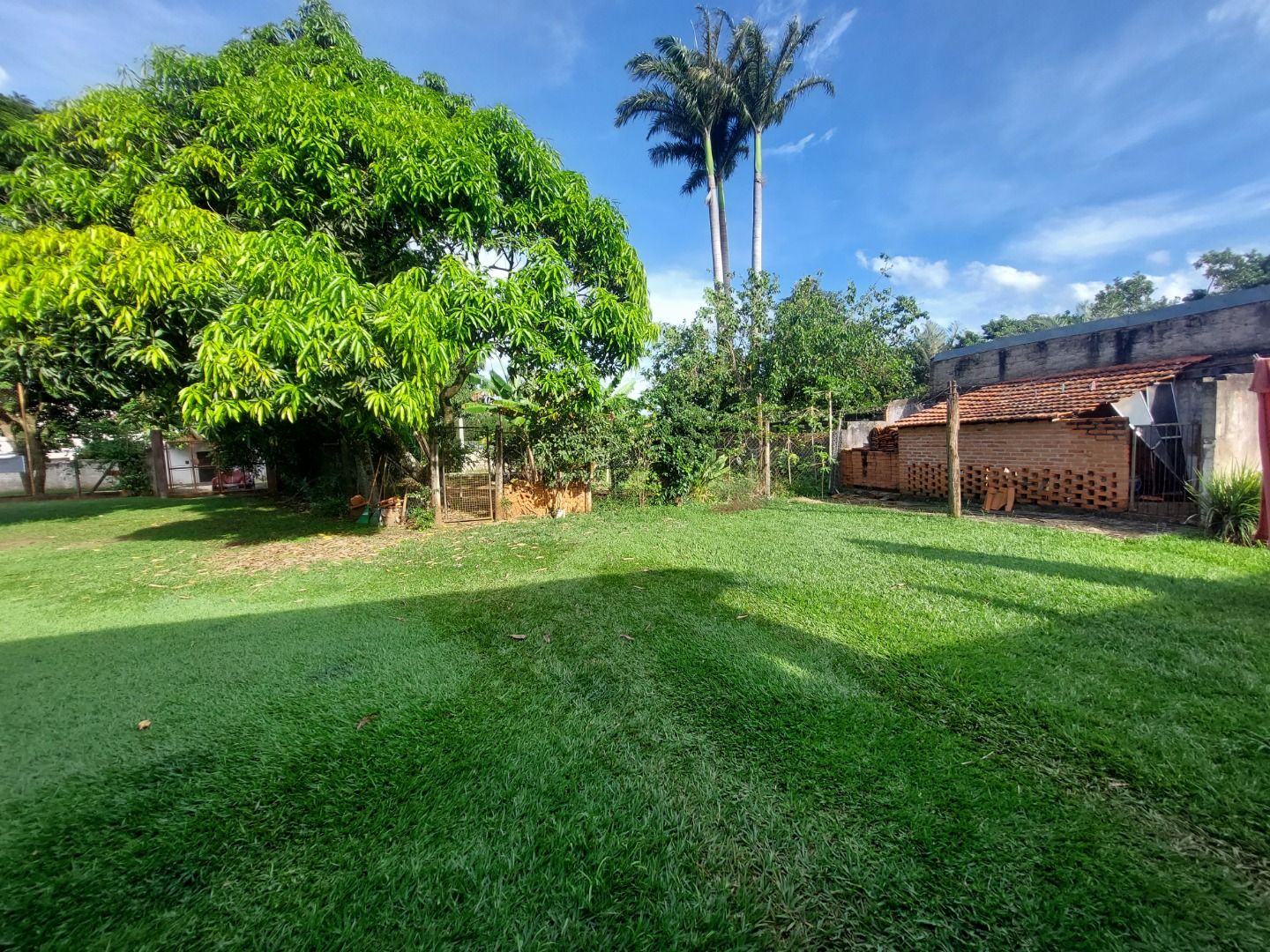 FOTO_6 - 6