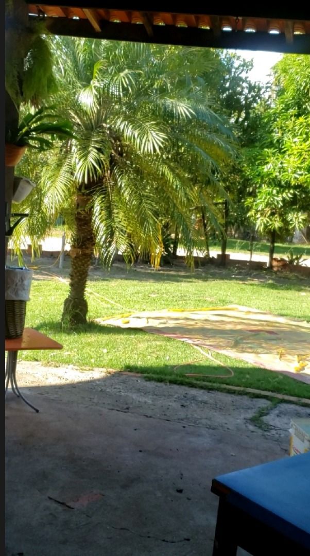 FOTO_12 - 12