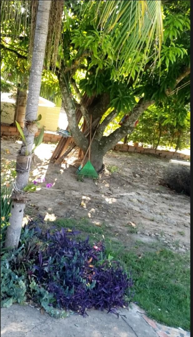 FOTO_4 - 4