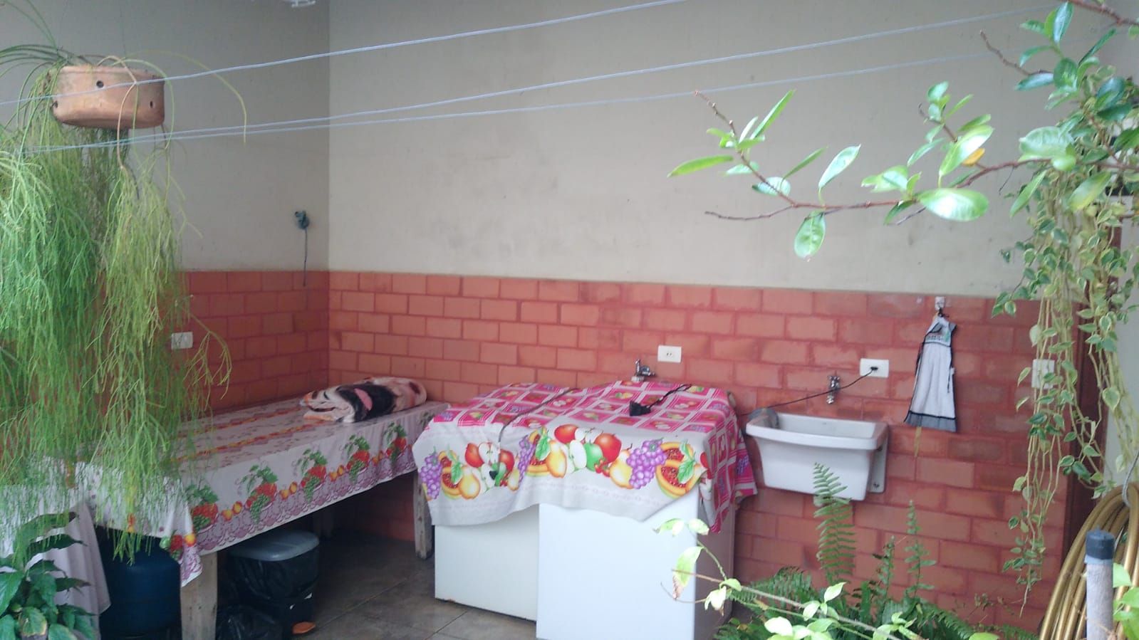 FOTO_13 - 13