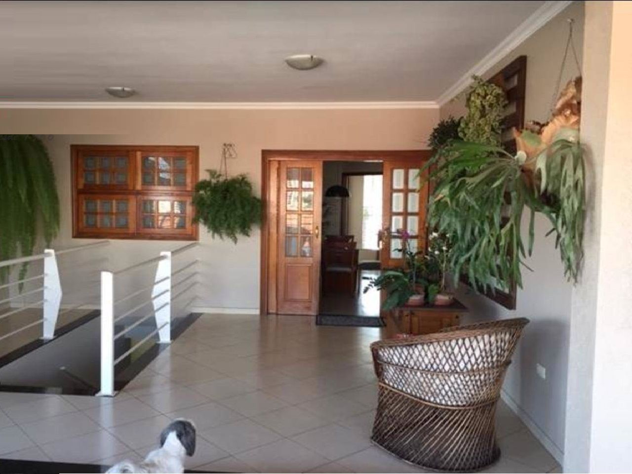 FOTO_16 - 16