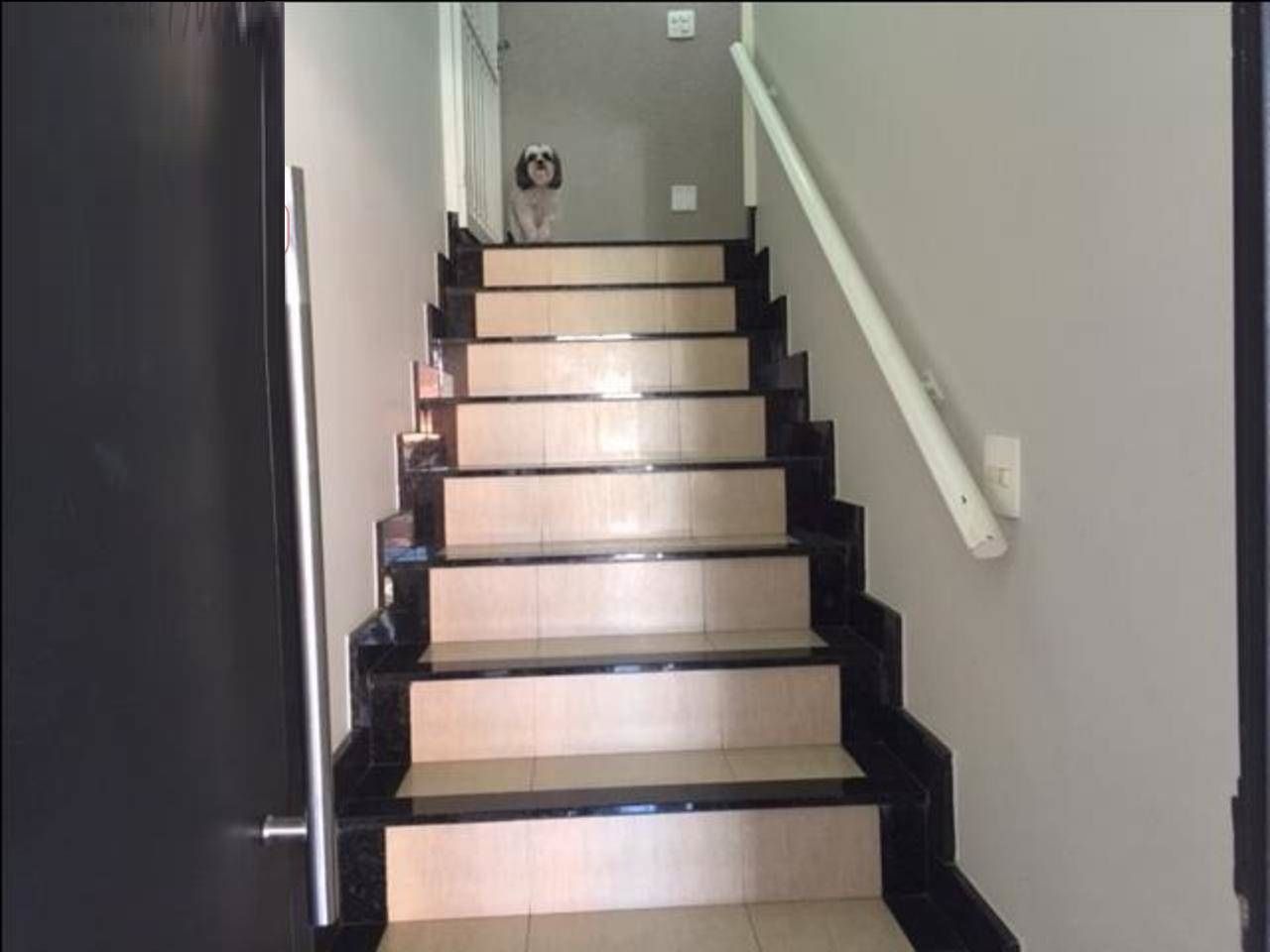 FOTO_6 - 6